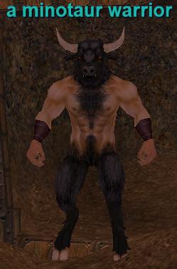 A Minotaur Warrior